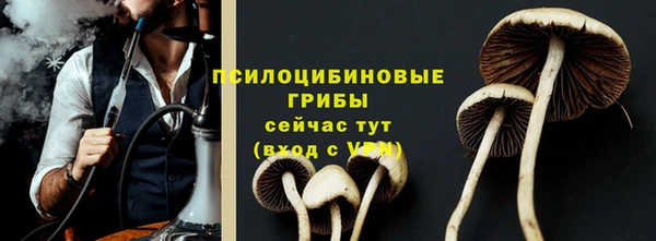 первитин Богородск