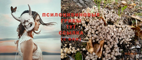 первитин Богородск