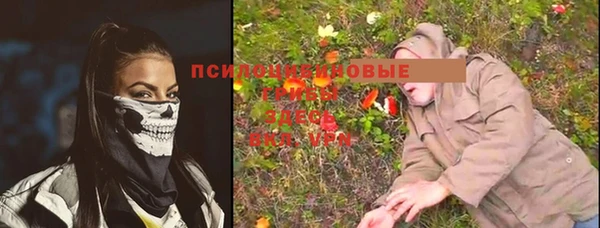 первитин Богородск