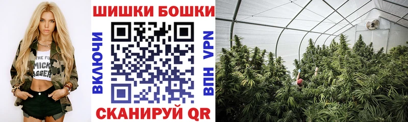 Каннабис OG Kush  Донской 
